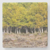 Gelbe Herbstlaube in Colorado, Stone Untersetzer (Vorderseite)