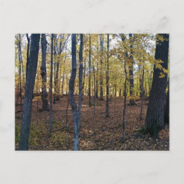 Gelbe Herbstpostkarte Postkarte