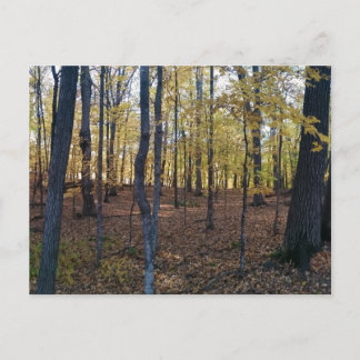 Gelbe Herbstpostkarte Postkarte