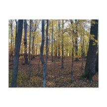 Gelbe Herbstpostkarte