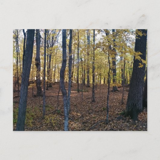 Gelbe Herbstpostkarte Postkarte (Vorderseite)