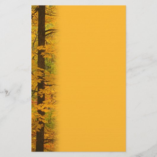 Gelbe Herbstwaldhochzeit Briefpapier (Vorderseite)