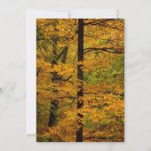 Gelbe Herbstwaldhochzeit Einladung (Rückseite)