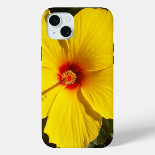Gelbe Hibiskus Blume Case-Mate iPhone Hülle (Rückseite)