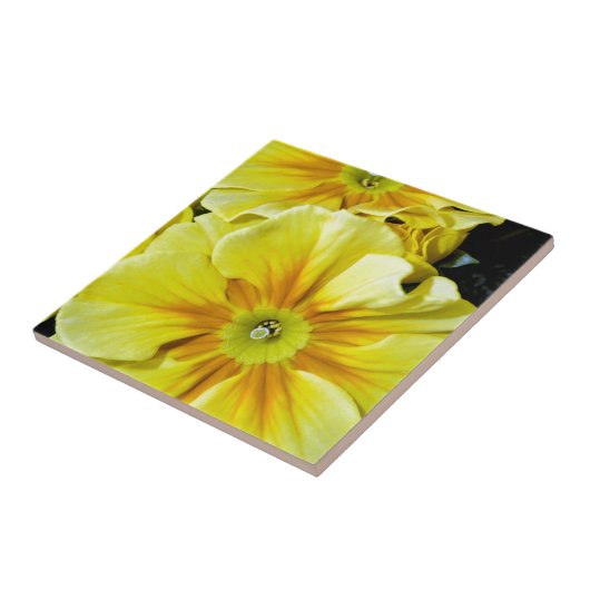 Gelbe Hibiskus Blume Fliese (Seite)