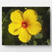 Gelbe Hibiskus Blume Fotoplatte (Vorderseite)