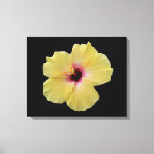 Gelbe Hibiskus Blume gezackte Canvas Leinwanddruck (Vorderseite)