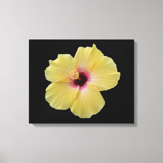 Gelbe Hibiskus Blume gezackte Canvas Leinwanddruck (Vorderseite)