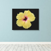 Gelbe Hibiskus Blume gezackte Canvas Leinwanddruck (Insitu (Holzboden))