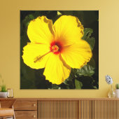 Gelbe Hibiskus Blume Leinwanddruck (Insitu (Wohnzimmer))