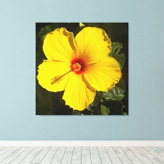 Gelbe Hibiskus Blume Leinwanddruck (Insitu (Holzboden))