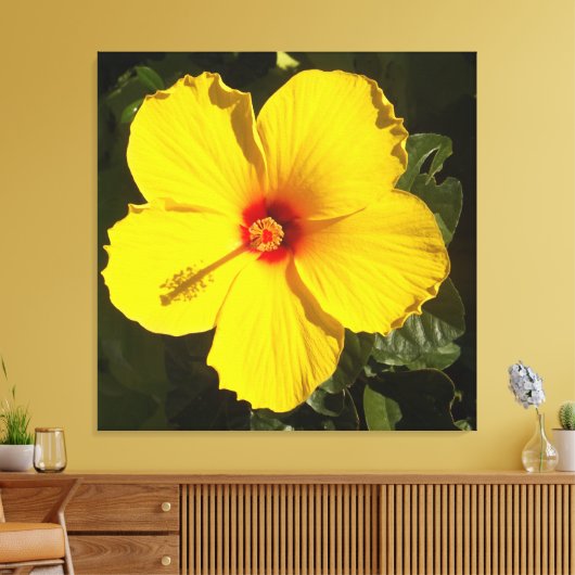 Gelbe Hibiskus Blume Leinwanddruck (Insitu (Wohnzimmer))