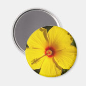Gelbe Hibiskus Blume Magnet (Vorderseite/Rückseite)