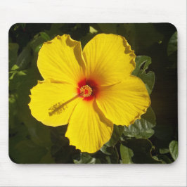 Gelbe Hibiskus Blume Mousepad