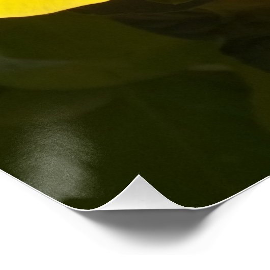 Gelbe Hibiskus Blume Poster (Ecke)