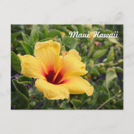 Gelbe Hibiskus Blume | Postkarte