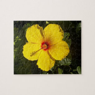 Gelbe Hibiskus Blume Puzzle
