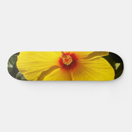 Gelbe Hibiskus Blume Skateboard (Horizontal)