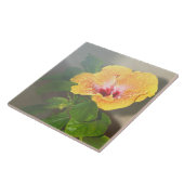 Gelbe Hibiskus Blume Tile Fliese (Seite)