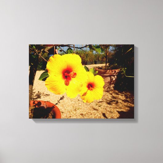 Gelbe Hibiskus Leinwand (Vorderseite)