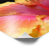 Gelbe Hibiskus Petals 10x8 Blume Fotodruck (Ecke)