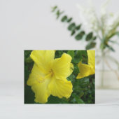Gelbe Hibiskus-Postkarte Postkarte (Stehend Vorderseite)