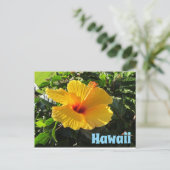 Gelbe Hibiskusblüte Hawaii Postkarte (Stehend Vorderseite)