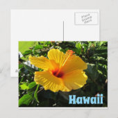 Gelbe Hibiskusblüte Hawaii Postkarte (Vorne/Hinten)