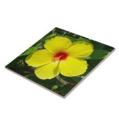 Gelbe Hibiskusfliese Fliese (Seite)