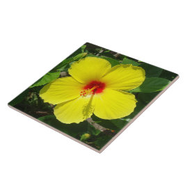 Gelbe Hibiskusfliese Fliese