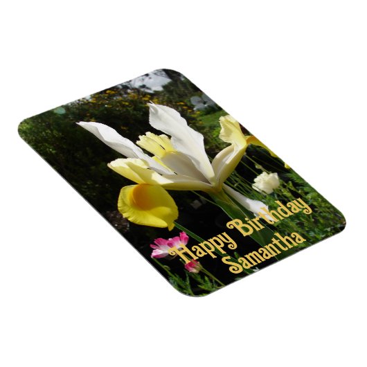 Gelbe holländische Iris-Blume Blume Blumengeburt Magnet (Rechte Seite)