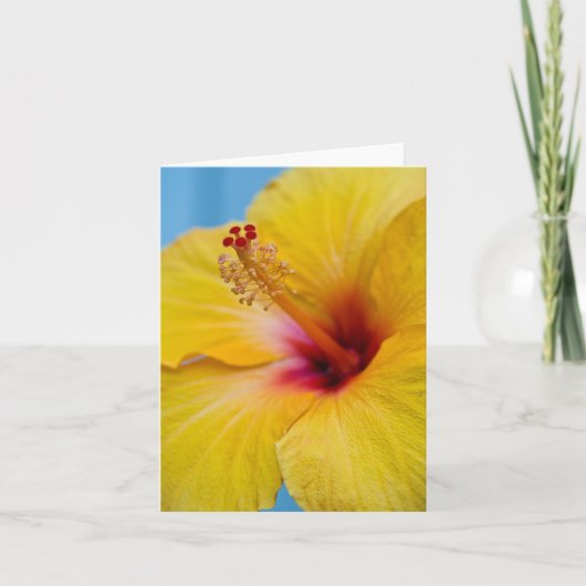 Gelbe Hybiscus Blume Notecard Karte (Vorderseite)