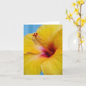 Gelbe Hybiscus Blume Notecard Karte (Gelbe Blume)