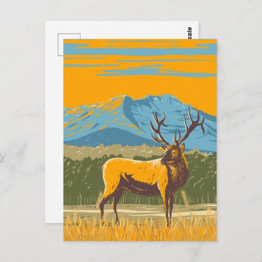 Gelbe Illustration Postkarte (Vorne/Hinten)