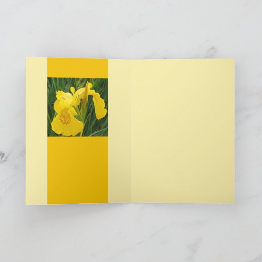 Gelbe Ire Karte (Innenseite)