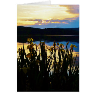 Gelbe Iris am Ufer des Arrowhad-Sees