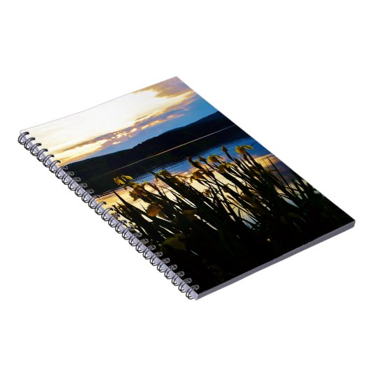 Gelbe Iris am Ufer des Arrowhad-Sees Notizblock (Rechte Seite)