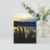 Gelbe Iris am Ufer des Arrowhad-Sees Postkarte (Stehend Vorderseite)
