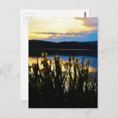 Gelbe Iris am Ufer des Arrowhad-Sees Postkarte (Vorne/Hinten)