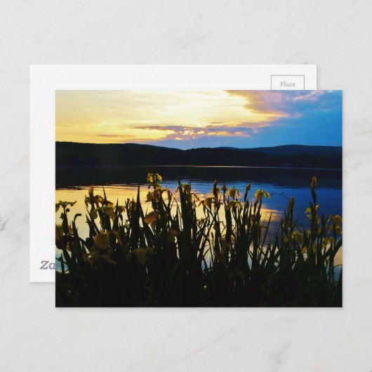 Gelbe Iris am Ufer des Arrowhad-Sees Postkarte (Vorne/Hinten)
