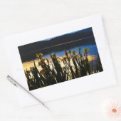 Gelbe Iris am Ufer des Arrowhad-Sees Rechteckiger Aufkleber (Umschlag)