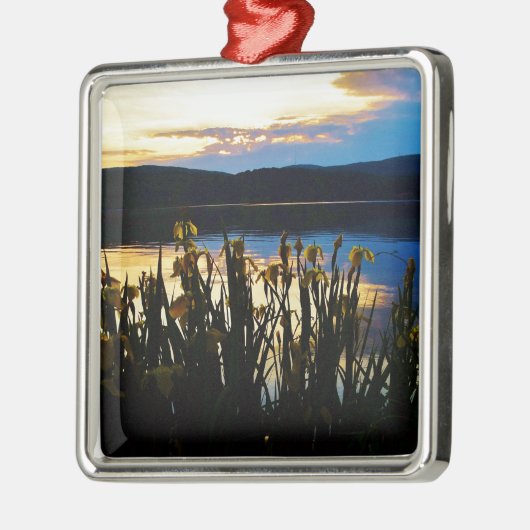 Gelbe Iris am Ufer des Arrowhad-Sees Silbernes Ornament (Links)