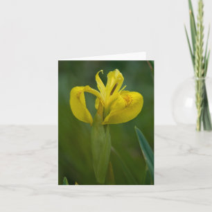 Gelbe Iris-Anmerkungs-Karte Karte