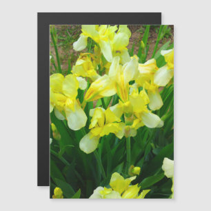 Gelbe Iris Blume Magnet Einladung