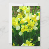 Gelbe Iris Blume Magnet Einladung (Vorderseite)