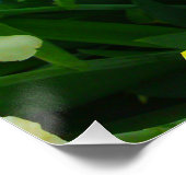 Gelbe Iris Blume Mix Perfektes Poster (Ecke)