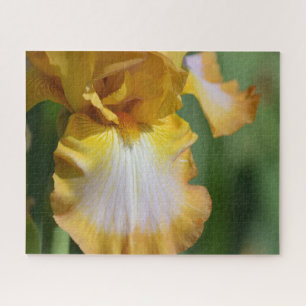 Gelbe Iris-Blume Puzzle