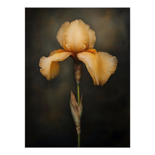 Gelbe Iris-Botanikmalerei Poster (Vorderseite)