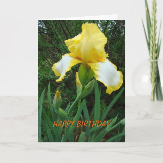 Gelbe Iris, Geburtstag Karte (Vorderseite)