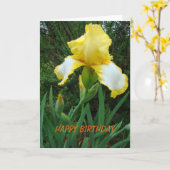 Gelbe Iris, Geburtstag Karte (Gelbe Blume)